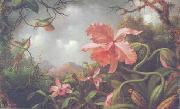 Martin Johnson Heade Hummingbirds and Two Varieties of Orchids Norge oil painting reproduction